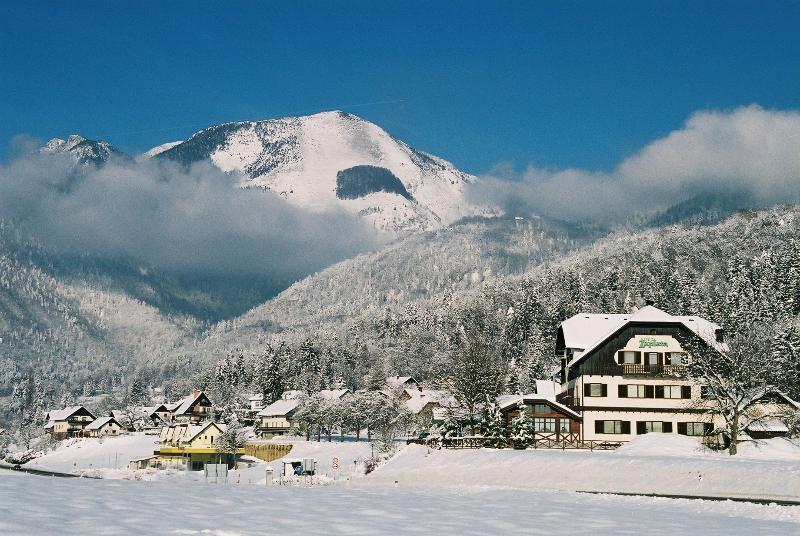 Hotel Oskar Zaplata Preddvor Kültér fotó